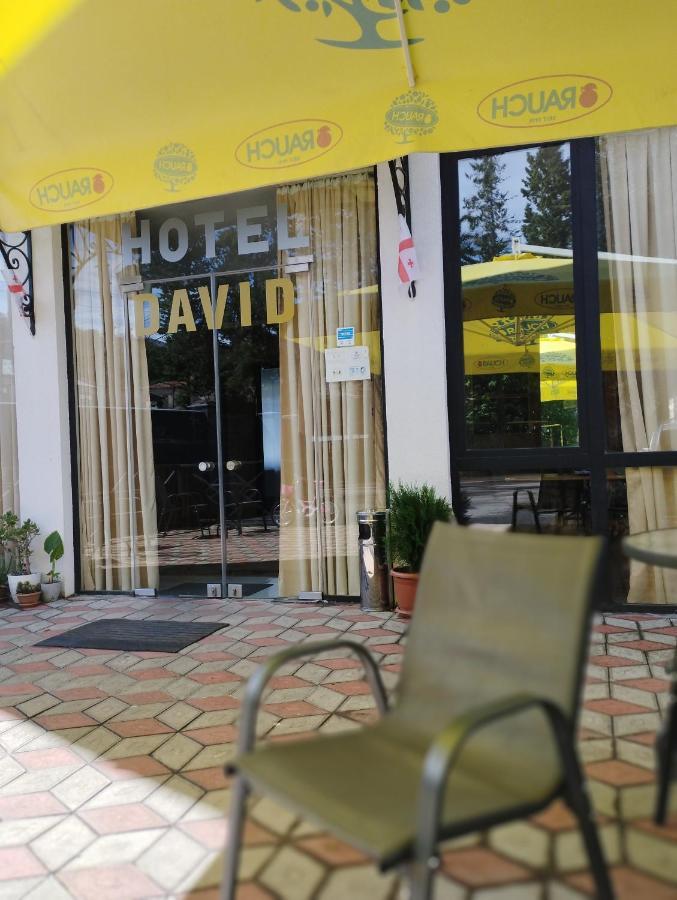 David Hotel Kutaisi Ngoại thất bức ảnh